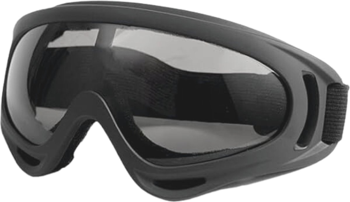 Bovista Skibril - Dames - Ski Zonnebril - Winddicht - Ski - Wintersport - Heren - Ski Gadgets - UV-Bescherming - Grijs