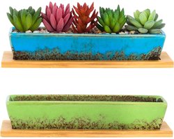 Keramische Vetplantenbakken Set van 2 - Mini Bonsaipot met Drainage - Bamboebak - Cactusbloempot - Rechthoekige Bloembakken voor Kamerplanten
