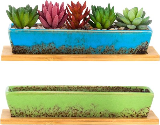 Cactussen en vetplanten - Poppelaars Tuincentrum Cactussen en vetplanten - Poppelaars Tuincentrum