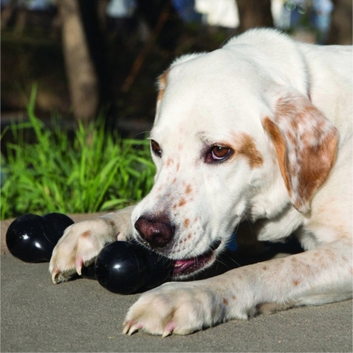 Kong Extreme Goodie Bone - Honden Speelgoed - Zwart - 18 cm - M thumbnail 2