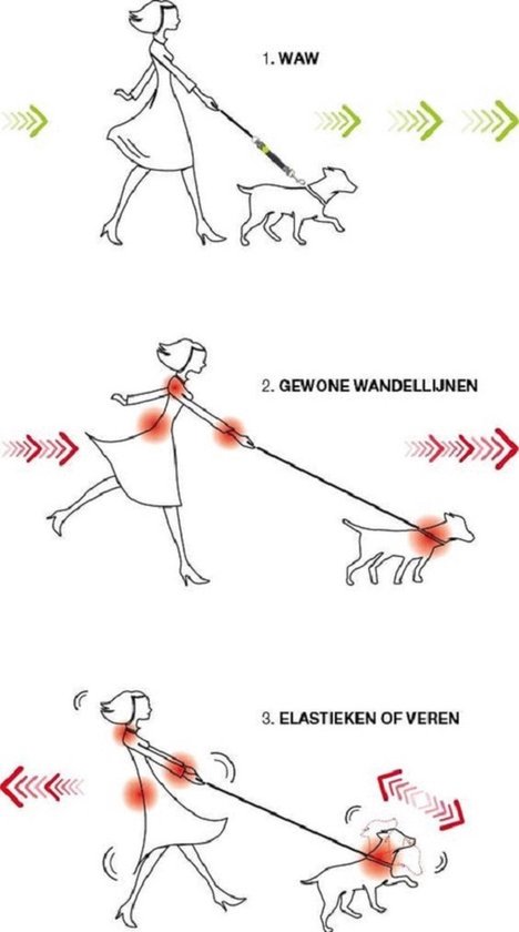 Illustratie van 3 stappen voor het uitlaten van een hond met een WAW riem.