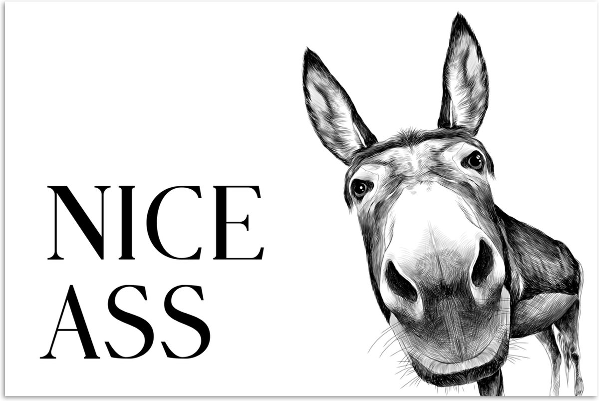 Poster 120x80 cm - Quote - Ezel - Dieren - Nice ass - Spreuken - Posters - Wanddecoratie b