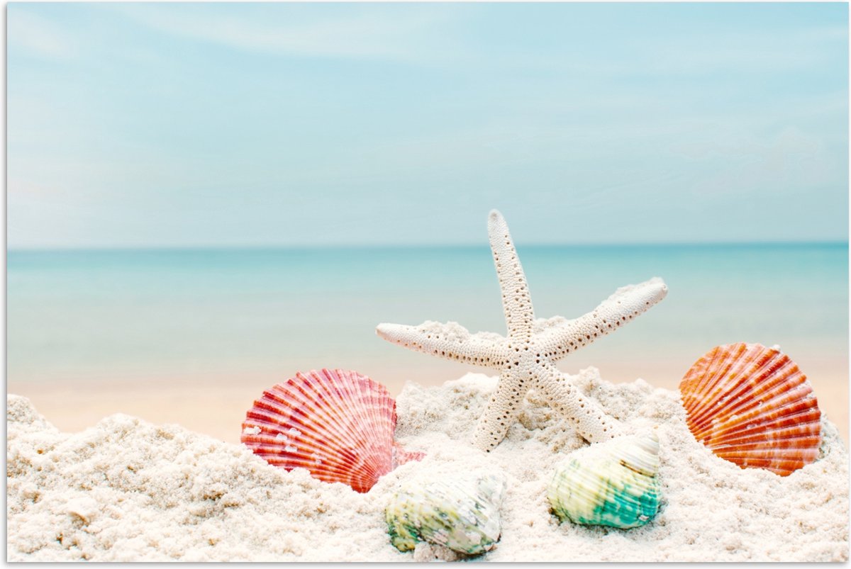 Poster 30x20 cm - Strand - Zeester - Schelpen - Zee - Posters - Wanddecoratie badkamer - M