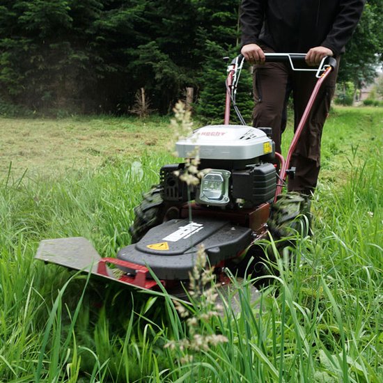 AISEN 2x Zündkerze für Hecht 40 5060 540 541 546 547 553