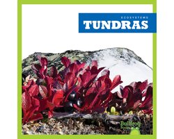 Tundras