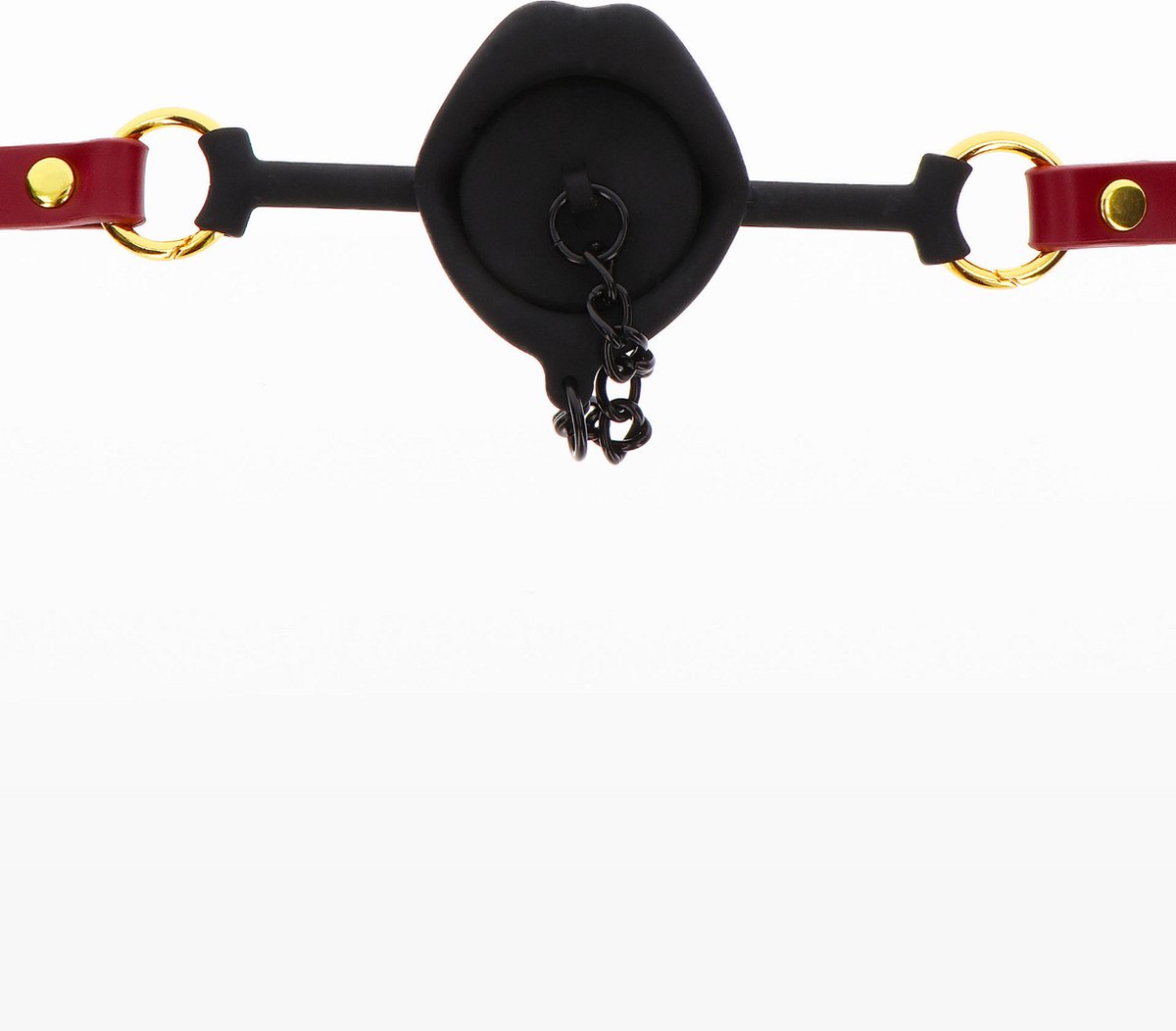 Kinky Gag with Plug
