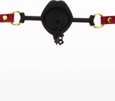 Kinky Gag with Plug