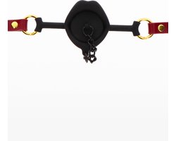 Kinky Gag with Plug