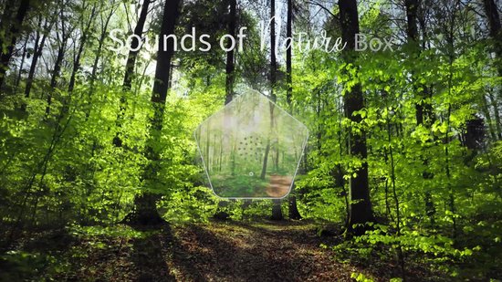 OLYMP Sounds of Nature Box | Sonidos Naturales para relajación y Tranquilidad | Soundbox con Canto de pájaros, susurro de Arroyos, prados de montaña, Sonido del mar | Caja de música con OLYMP Sounds of Nature Box | Sonidos Naturales para relajación y Tranquilidad | Soundbox con Canto de pájaros, susurro de Arroyos, prados de montaña, Sonido del mar | Caja de música con