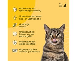 Chomi Pets - Kitten Droogvoer - 3 KG - Kip Zalm - Kitten brokken - Met Natuurlijke Ingrediënten - Voor een Gezonde Vacht - Kitten voeding
