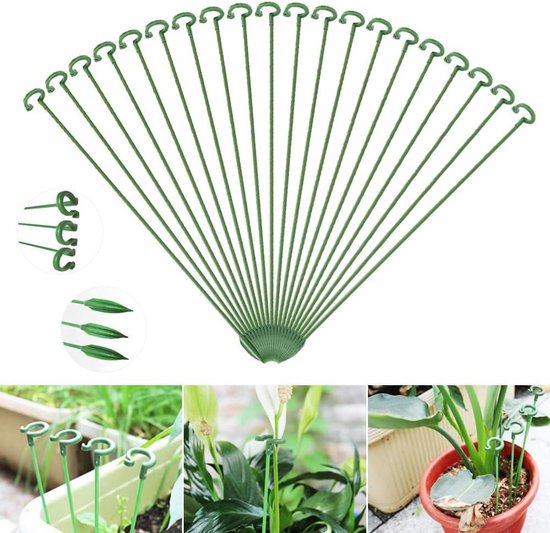 Plantsteun | Ondersteun je planten optimaal - Shop nu Plantsteun | Ondersteun je planten optimaal - Shop nu
