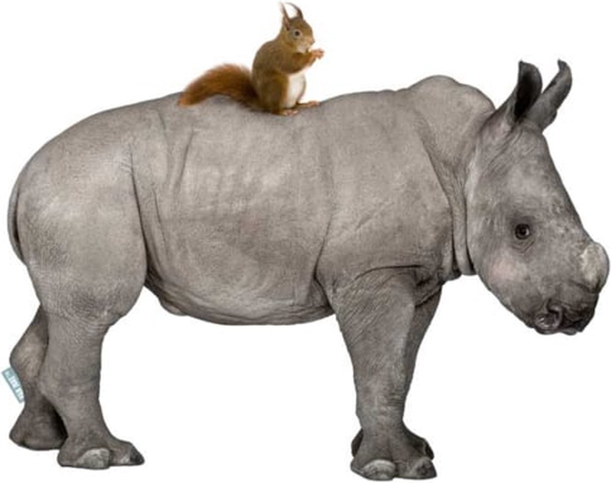 VAN IKKE Muursticker Neushoorn met eekhoorn multi