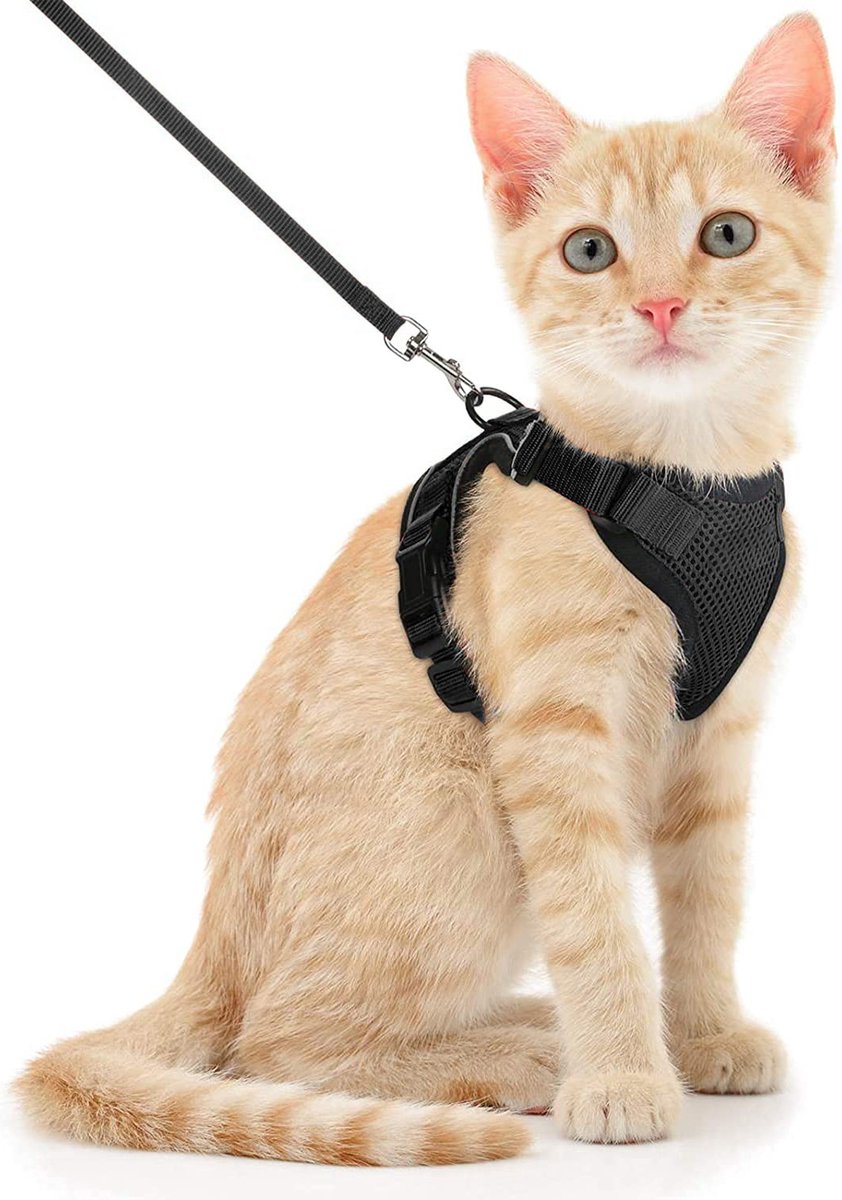 Bol.com DOWO® - Kattentuigje - Kattenharnas - XS - Met Looplijn - Kittentuigje - Reflecterend - Zwart aanbieding