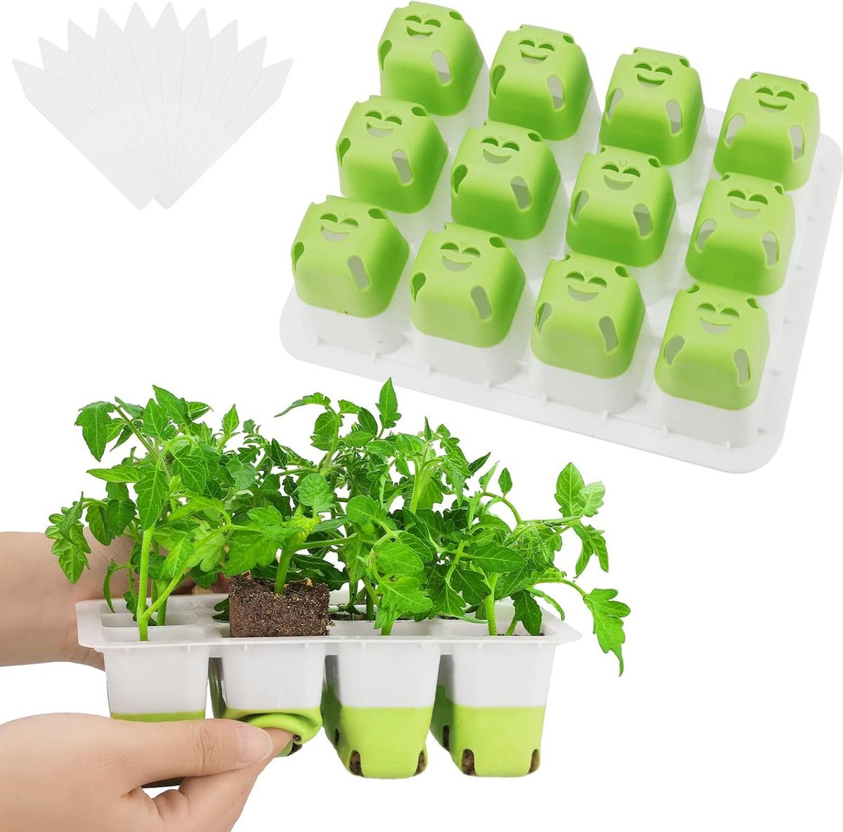 Mini-broeikas kweekset met zonachtige plantenlichten vol spectrum indoor gardening Kweekbak