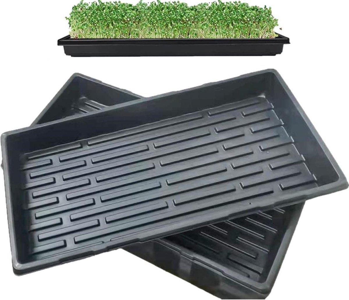 Kweekbakken zonder drainagegaten 10 stuks 54 x 28 x 6 cm ideaal voor zaaien binnentuinieren microgroen tarwekruiden aarde of hydrocultuur Kweekbak