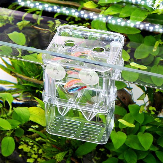 JBL BabyHome Oxygen, kweekbak met zuurstofvoorziening - voor de mooiste aquariumplanten en producten JBL BabyHome Oxygen, kweekbak met zuurstofvoorziening - voor de mooiste aquariumplanten en producten