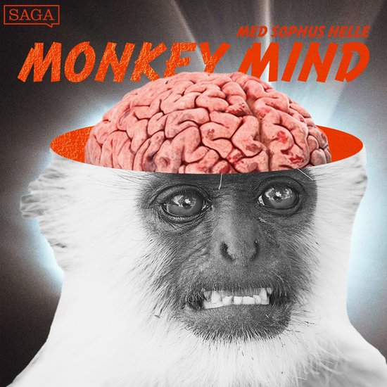 Monkey Mind - cover