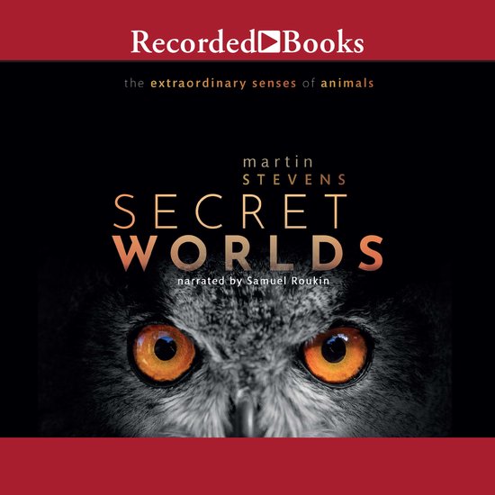 Secret Worlds - cover