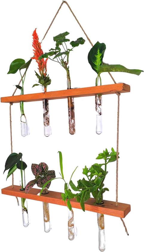 THYGIFTREE Plantenvermeerderingsstations met metalen standaard, tafelblad plantenterrarium voor het vermeerderen van hydrocultuur, retro glazen plantenbak bloemenvaas thuis keuken kantoor decoratie