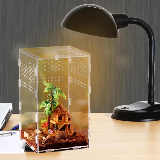 SpringTerrarium