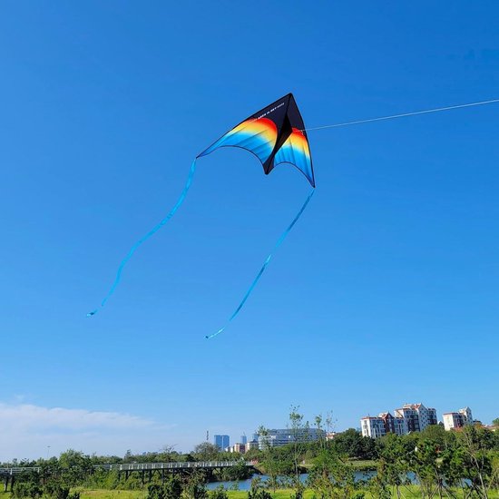 Flying