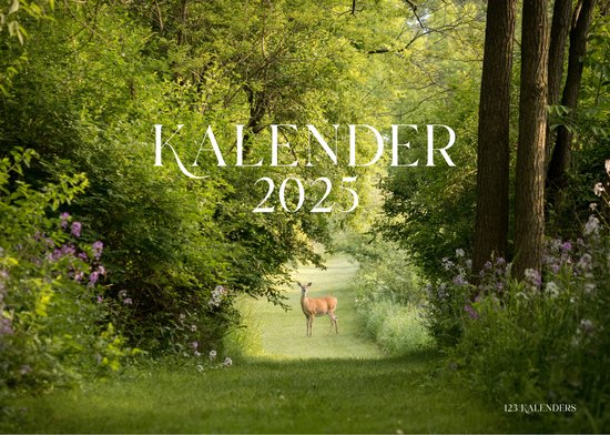 Kalender 2025, leuke kleurrijke jaarkalender, één pagina jaarkalender, poster bureauwandkalender, planner 2025, afdrukbare kalender - Nederland
