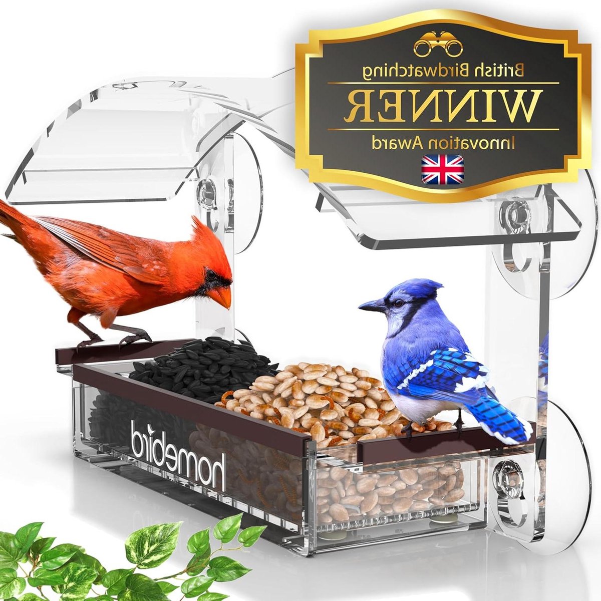 Raamvoeder met sterke zuignappen voor vogels - heldere vogelvoederbak voor buiten met eekhoornbestendigheid