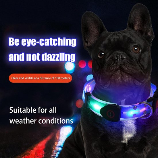 Un bouledogue français noir portant un collier LED lumineux multicolore dans un environnement sombre.