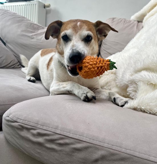 Ousiya Set van 24 puppyspeeltjes, bijtspeelgoed voor puppy's et een