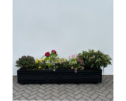 AMISHOUT - Plantenbak van hout 200x40x36 - zwart | bloembak buiten