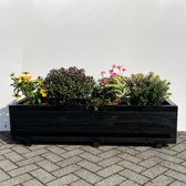 AMISHOUT - Plantenbak van hout 140x40x36 - zwart | bloembak buiten