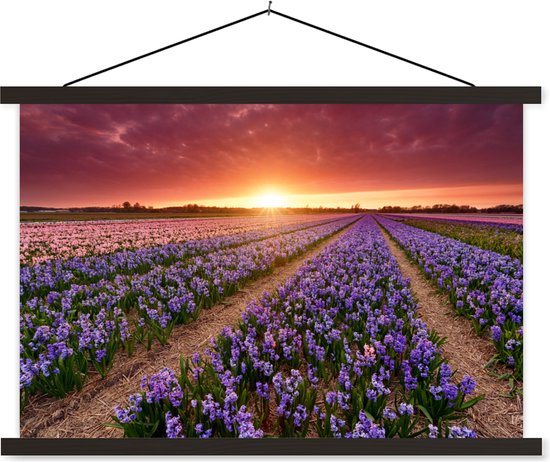 Jacinthes en paysage hollandais affiche textielposter lattes noires 60x40 cm - Tirage photo sur plaque scolaire (décoration murale salon / chambre)