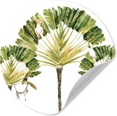 WallCircle® - Cercle de papier peint 100x100 cm - Stickers muraux Jungle - Cacatoès - Arbre - Cercle mural - Accessoires chambre enfant - Décoration chambre bébé - Cercle mural autocollant