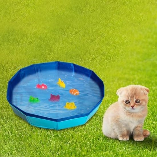 Piscine Chat, 30×10 cm Piscine pour Chiens, Pataugeoire pour Animaux