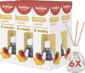 Bolsius - Geurstokjes - Mango - 6 stuks - Voordeelverpakking - 60ml