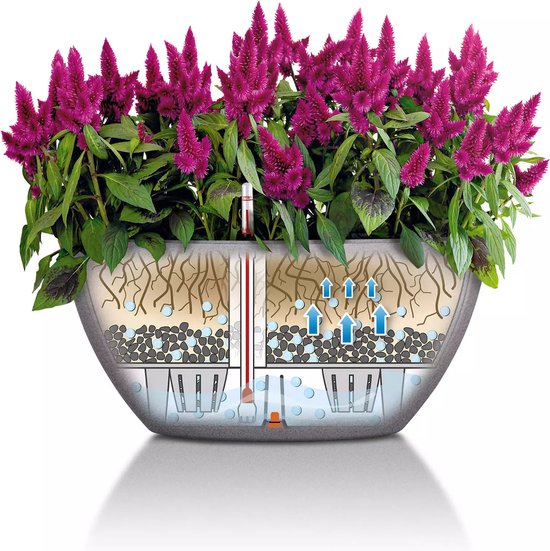 LECHUZA CUBETO Stone 40 - Plantenbak - met uitneembare binnenbak - met bewateringssysteem - ALL-IN-ONE set met LECHUZA-PON - steengrijs
