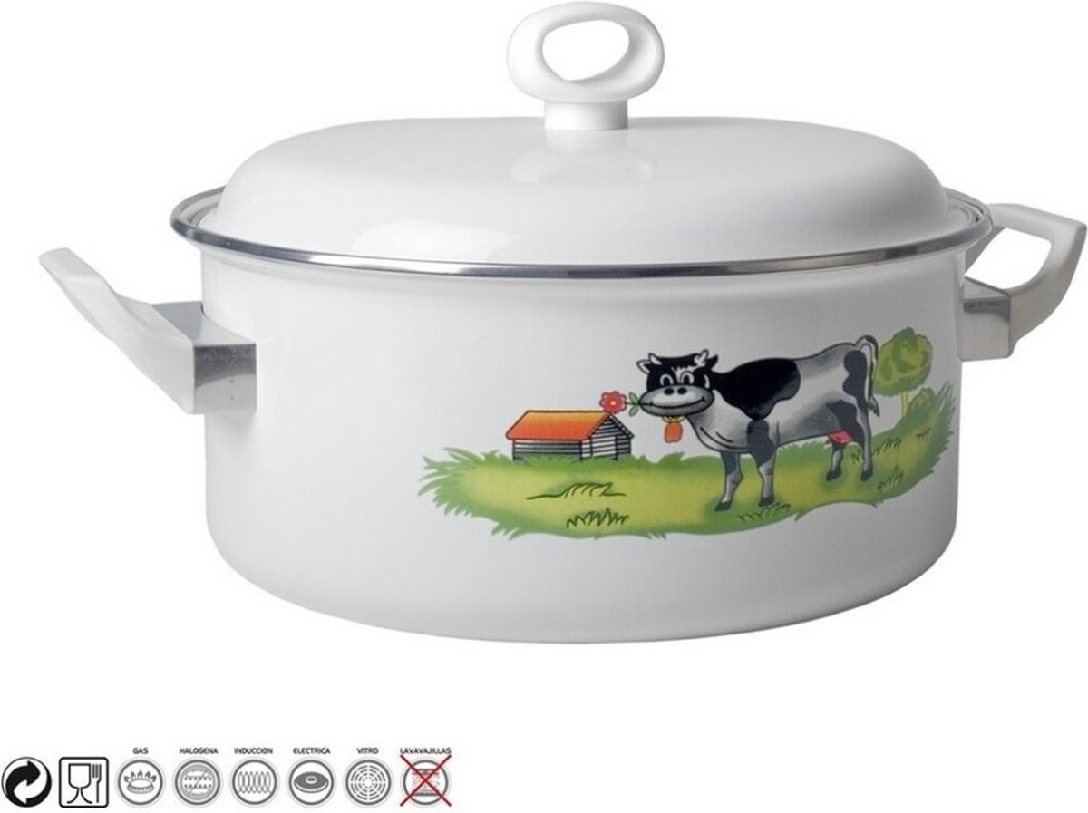 Braadpan stoofpan met deksel Ø 24cm gegoten aluminium geglazuurd geschikt voor alle warmtebronnen 4,6 L