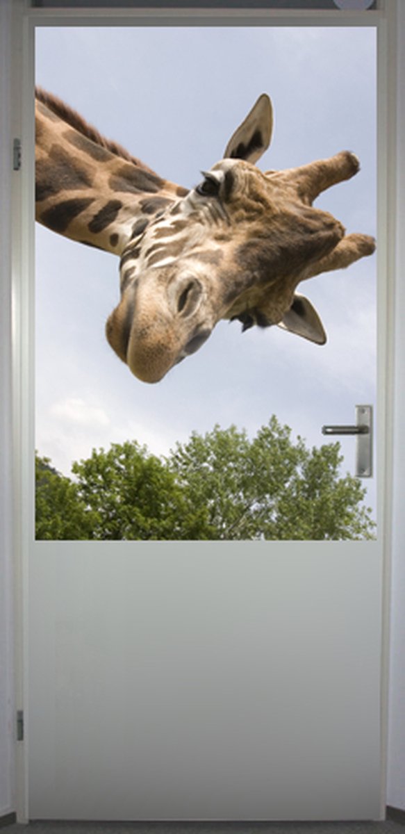 Poster 'Giraffe 2' - deursticker - sticker 60x90 cm