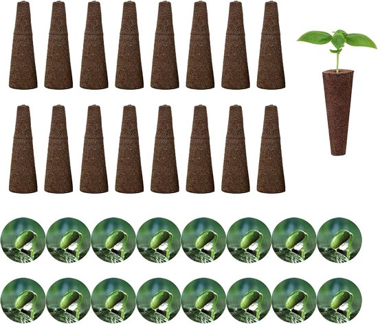Hydrocultuur en semi-hydrocultuur: alle ins en outs