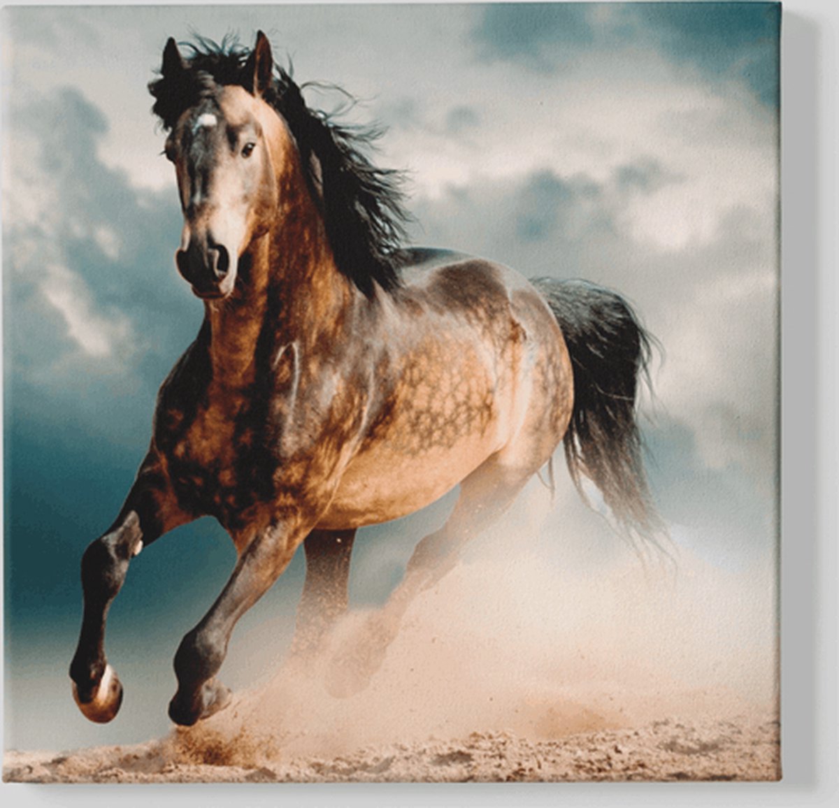 Trendex Global Vierkant Canvas Schilderij - Dieren - Paard - Paarden - 60x60x2 cm Bruin