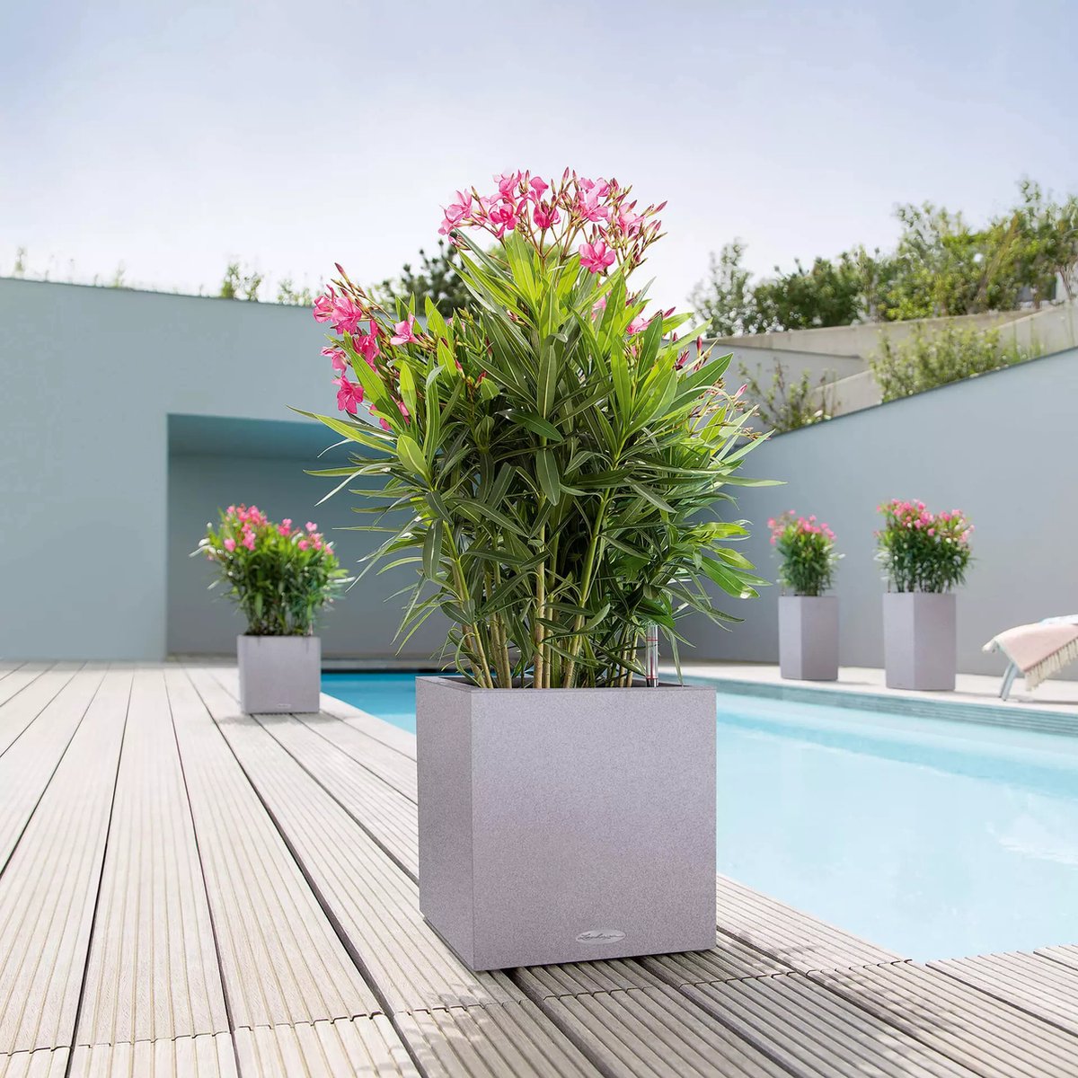Lechuza Canto Stone 30 low - Planter - with removable inner pot