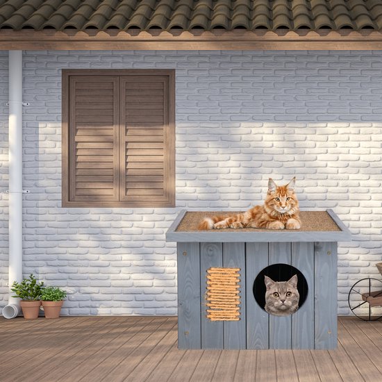 Waterdicht kattenhuis voor buiten – De 15 beste producten vergeleken