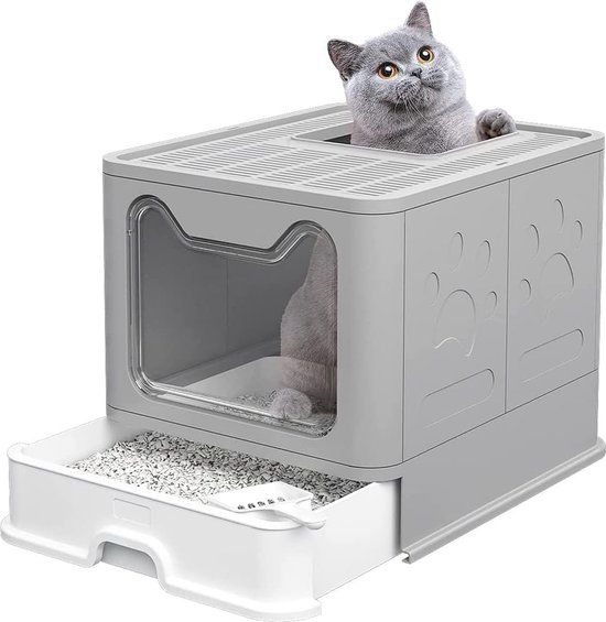 Grijze kattenbak met lade en schep. Grijze Britse Korthaar kat steekt uit het deksel.
