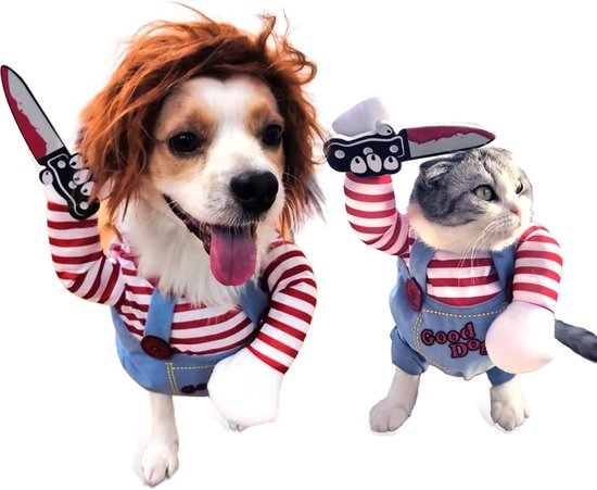 Hondendanserskostuum - Halloween-kostuum voor huisdieren | Grappige comfortabele buikdansende met bungelende gouden munt voor hond, puppy