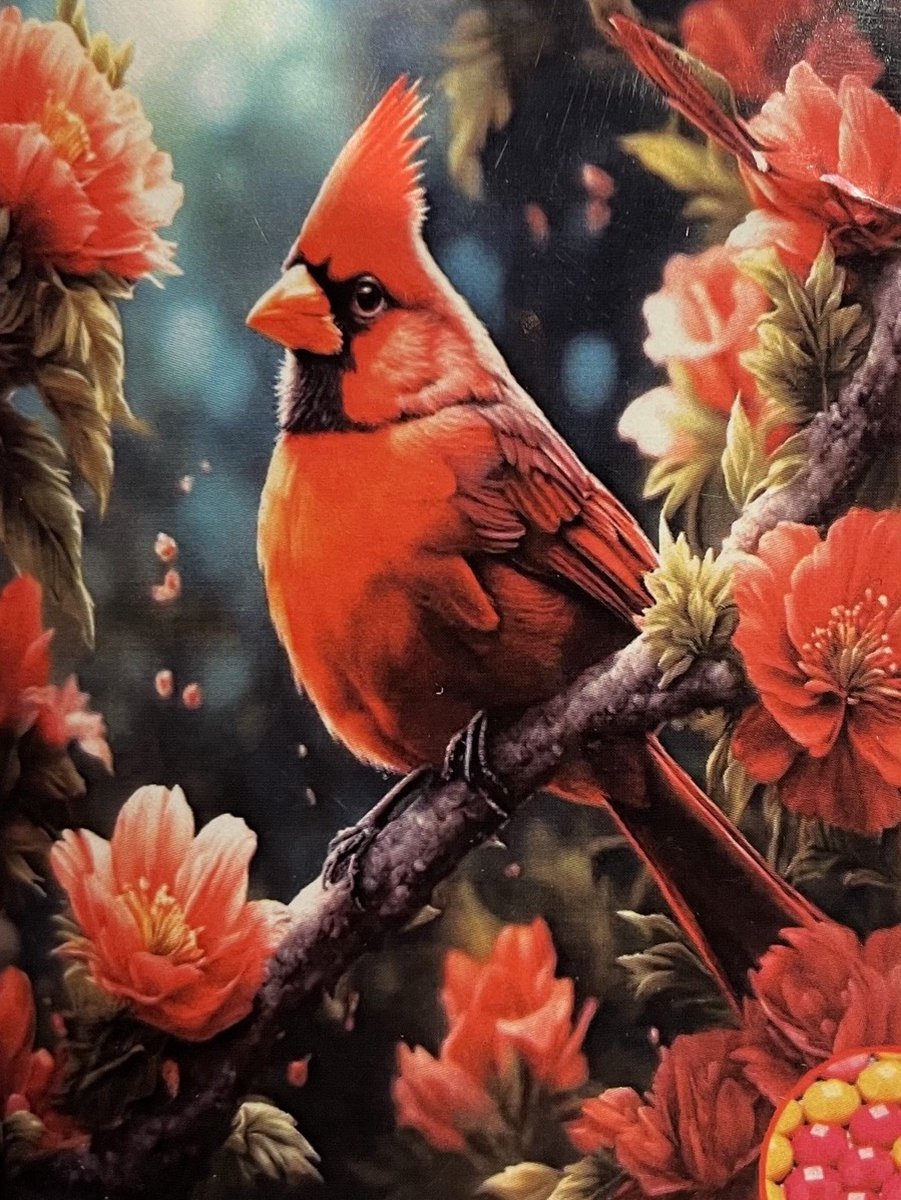TOPMO - Rode Kardinaal - Diamond painting- HQ Diamond Painting pakket - VOLLEDIG dekkend - Diamant Schilderen - voor Volwassenen – ROND- 40X50CM
