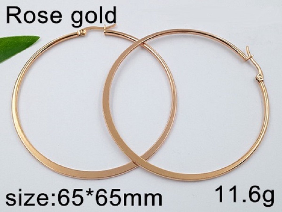Oorbellen 7101