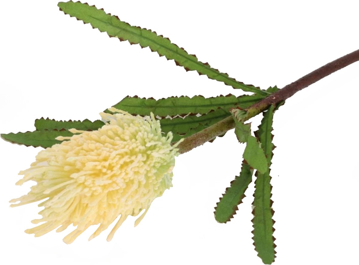Steelbloem / kunstbloemTropische Bloem Banksia geel 68 cm