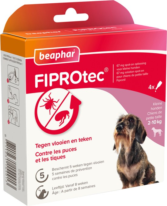 Beaphar Fiprotec doos voor kleine honden (2-10kg) met een ruwharige teckel. Tekst: 'Tegen vlooien en teken', 'Beschermt 5 weken', 'Vanaf 8 weken'.