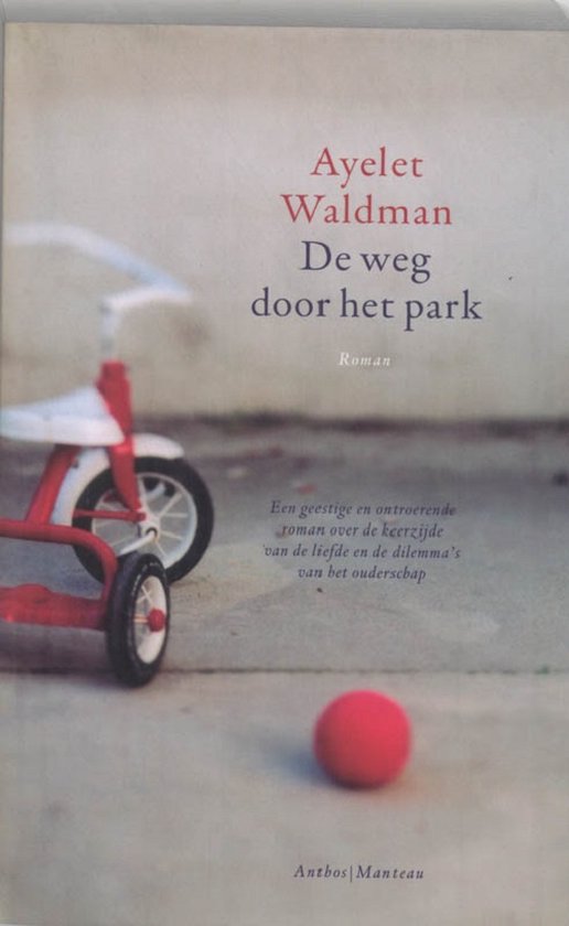 De weg door het park