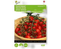 Buzzy - Zaden snacktomaat dattored f1 8 zaden